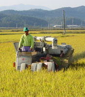 �ķ��Ⱥ��� �߿伺 ������ ���� ..