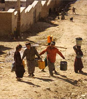 ������ �ĺ�, ������ȸ �Ͽ����� ��..