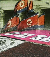 �� ���������� ����: �ǵ��� ��..