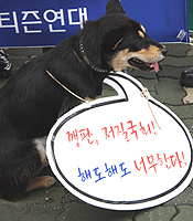 ����(̳)�� ���� ���Ǳ�ȸ��