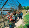 Ϻ, 2023 (DMZ) ȭ ..