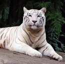 ����ȣ�� �ؾ� �εս� �ھƶ�, ����..