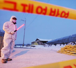 ������ ��� ���� ������ ����