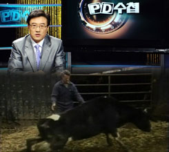 ������, PD��ø ������ �ǻ翡 ����..