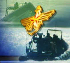 ������ݻ�� �������鿡 �� �ڼ��� ..