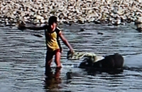 ±ºÀο¡°Ô ´ëµå´Â ÝÁ ¿©¼º