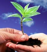 ¿ì¸®ÀÇ ÀþÀºÀ̵éÀ» ¹Ï´Â´Ù