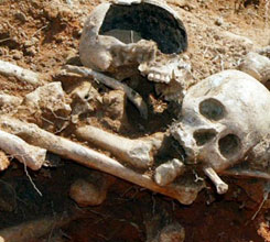 ���δ� ��������� �ַ��ؾ�