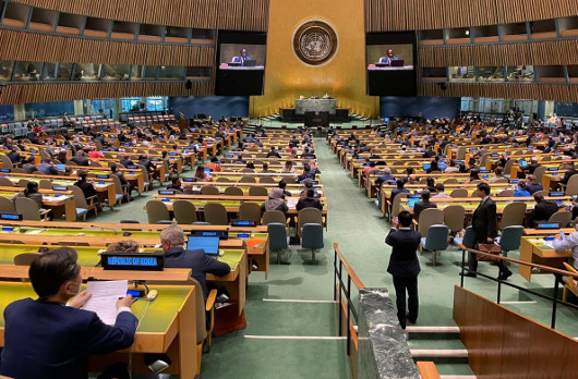 츮,  ȸ̻ȸ(ECOSOC) ..