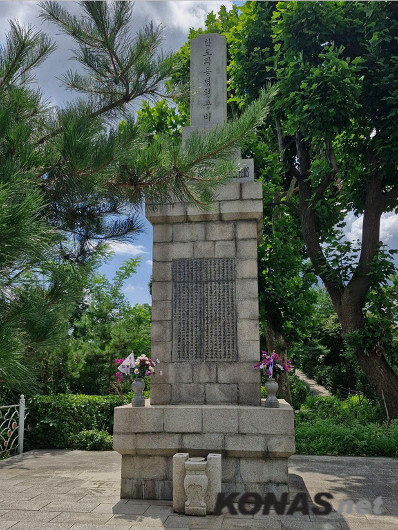 [ȣ�����Ʊ��] (56) ���� �е��ǿ뺴 �����